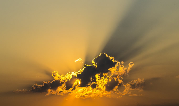Sunlight Mirage — About us